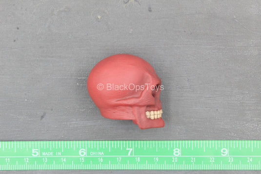 Captain America - Red Skull - Male Head Sculpt