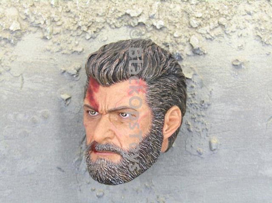 X-Men Logan Wolverine Steel Wolf Blood Stained Male Head Sculpt