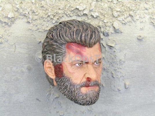 X-Men Logan Wolverine Steel Wolf Blood Stained Male Head Sculpt