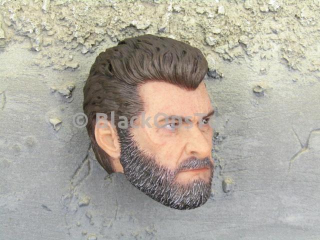 Load image into Gallery viewer, X-Men Logan Wolverine Steel Wolf Male Head Sculpt
