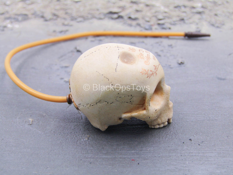 Load image into Gallery viewer, Fantastic Beasts - Gellert - Skull Hookah
