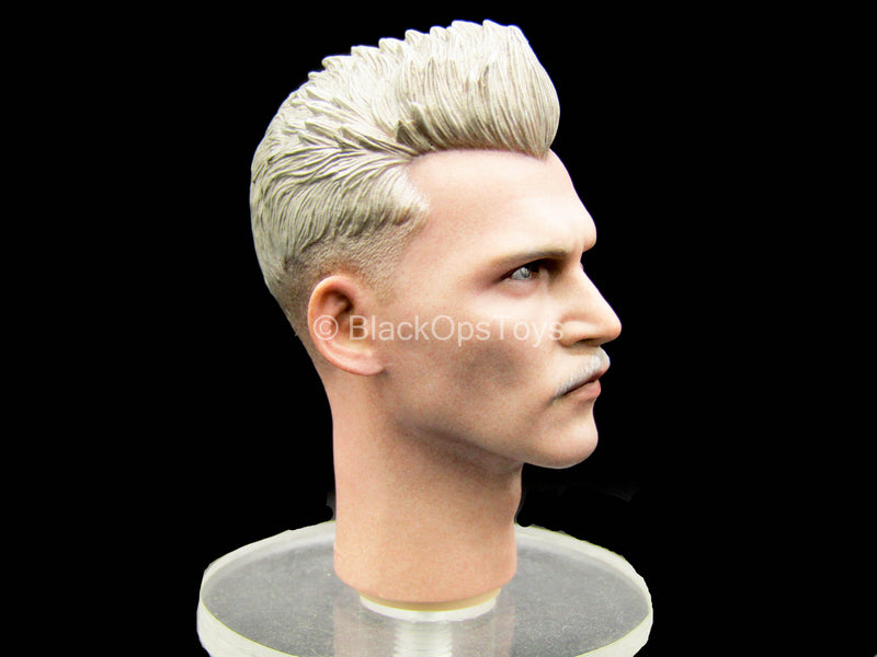 Load image into Gallery viewer, Fantastic Beasts - Gellert - Male Head Sculpt w/Multicolor Eyes
