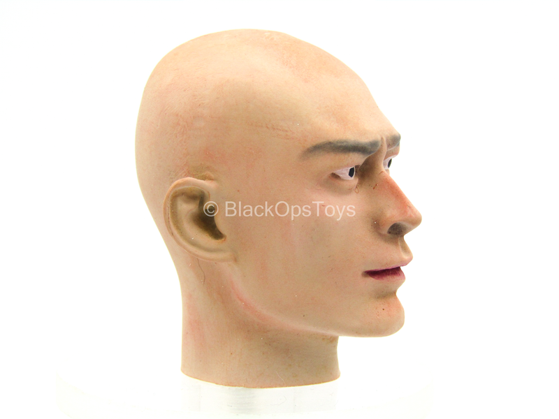 Load image into Gallery viewer, Free Fighter - Asian Male Head Sculpt

