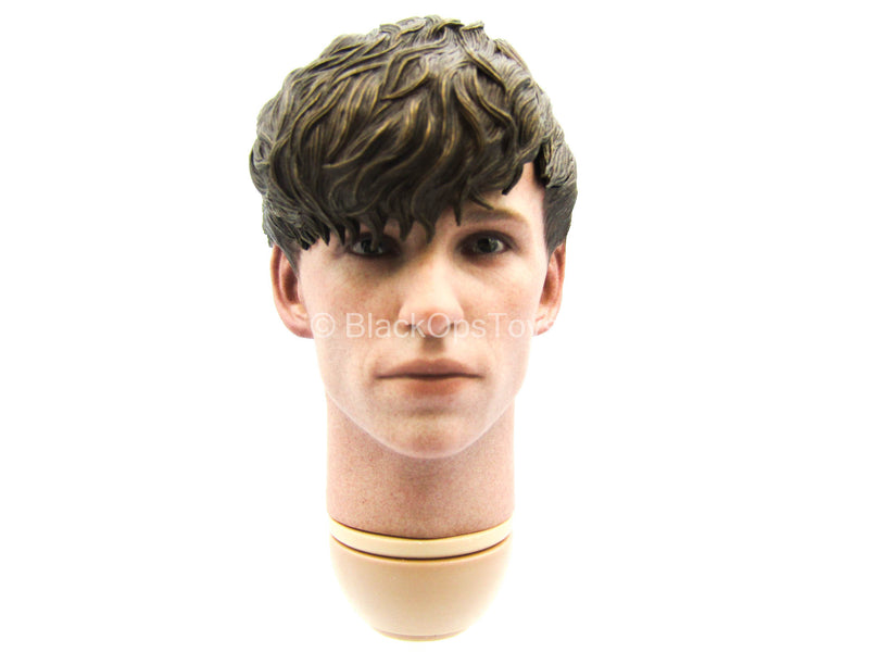 Load image into Gallery viewer, Fantastic Beasts - Newt - Male Head Sculpt
