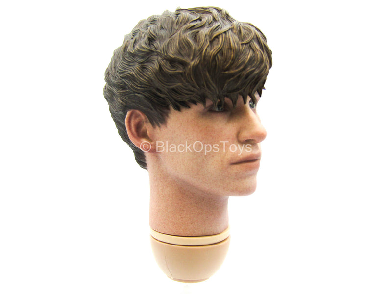 Load image into Gallery viewer, Fantastic Beasts - Newt - Male Head Sculpt
