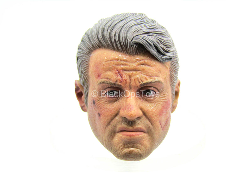Load image into Gallery viewer, Old Soldier - Male Sweaty &amp; Battle Damaged Head Sculpt
