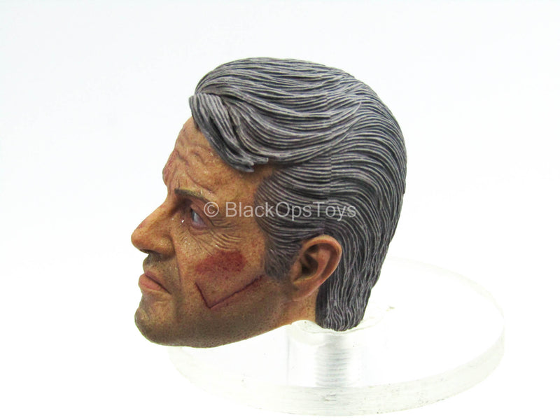 Load image into Gallery viewer, Old Soldier - Male Sweaty &amp; Battle Damaged Head Sculpt
