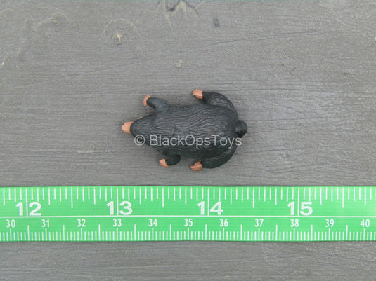 Fantastic Beasts - Newt - Baby Niffler Minifigure (Type 1)