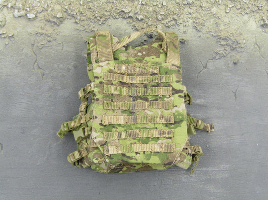 US Army in Afghanistan Jude Law Multicam Molle Vest