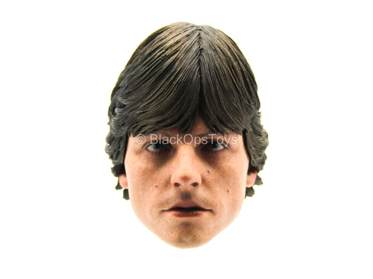 Male Head Sculpt w/Mark Hamill Likeness