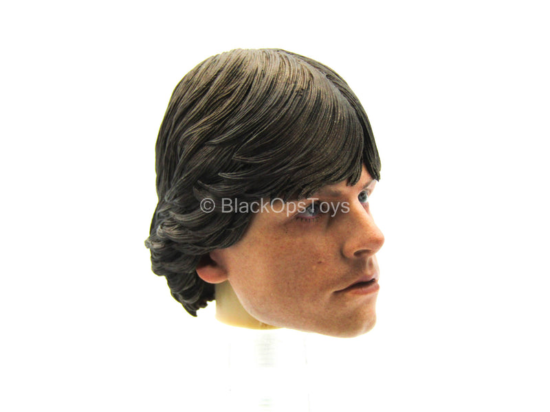 Load image into Gallery viewer, Male Head Sculpt w/Mark Hamill Likeness
