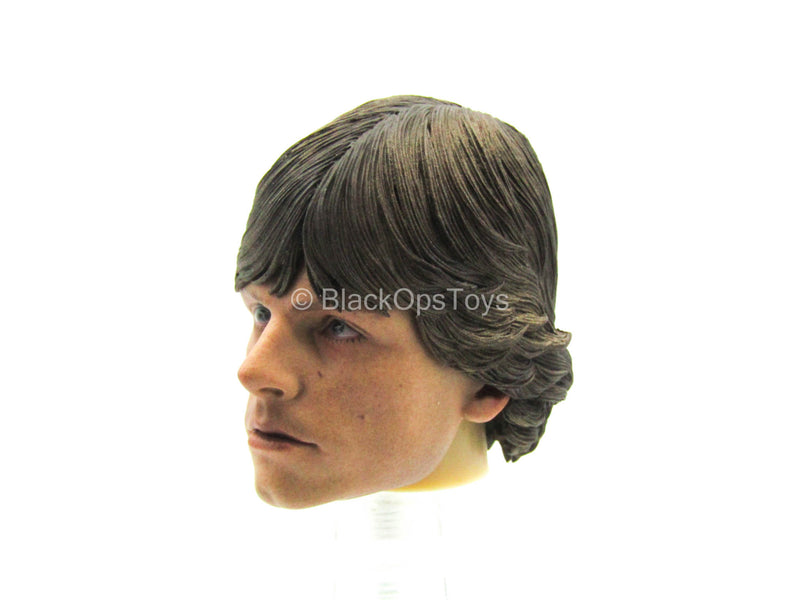 Load image into Gallery viewer, Male Head Sculpt w/Mark Hamill Likeness
