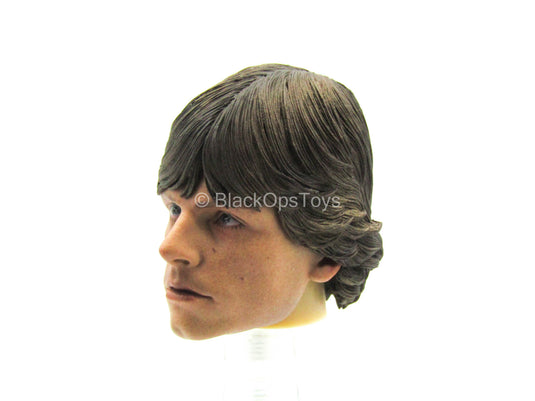 Male Head Sculpt w/Mark Hamill Likeness
