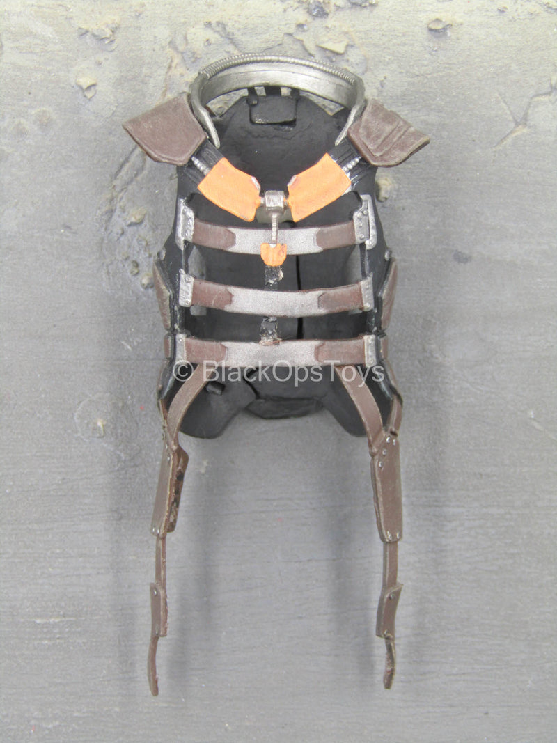 Load image into Gallery viewer, GOTG - Rocket - Small Size Body Armor
