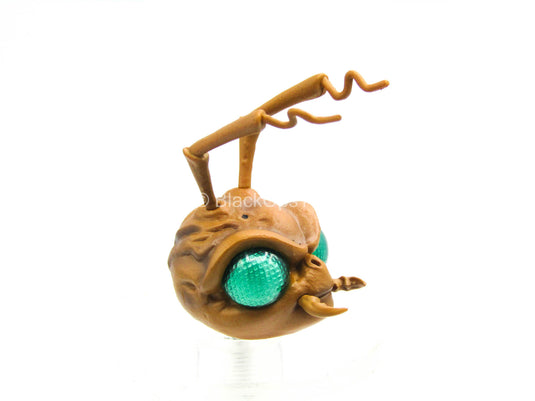 1/12 - Holiday Gomez - Roach Head Sculpt