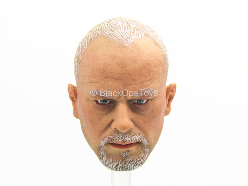 Load image into Gallery viewer, Imperial Legion Trumpeter - Male Head Sculpt
