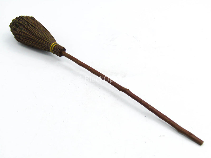 Load image into Gallery viewer, Harry Potter - Cedric Diggory - Broomstick
