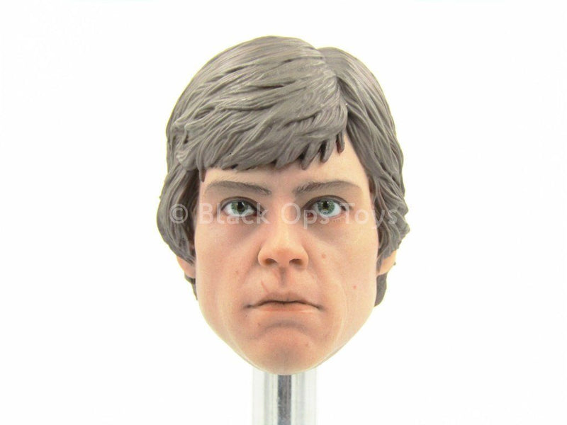 Load image into Gallery viewer, STAR WARS - Luke Skywalker - Head Sculpt in Mark Hamill Likeness
