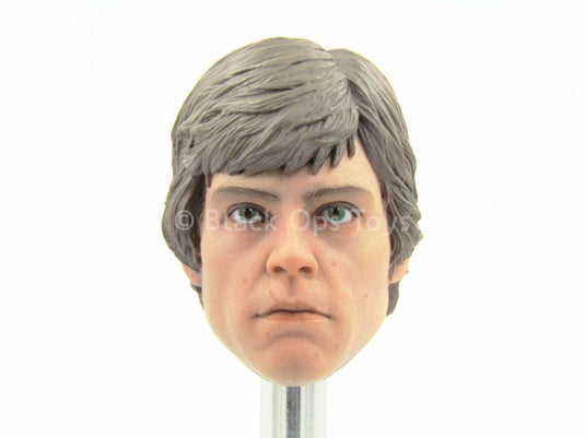 STAR WARS - Luke Skywalker - Head Sculpt in Mark Hamill Likeness