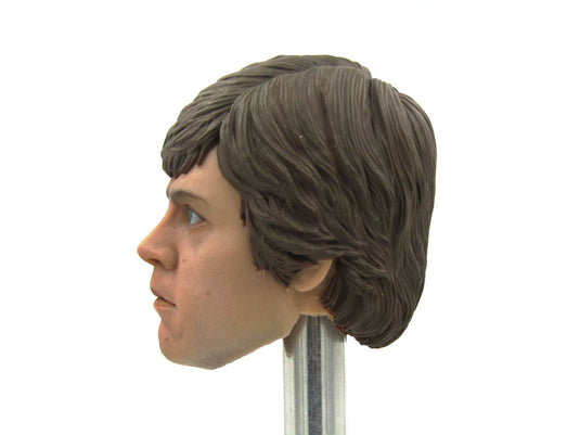 STAR WARS - Luke Skywalker - Head Sculpt in Mark Hamill Likeness