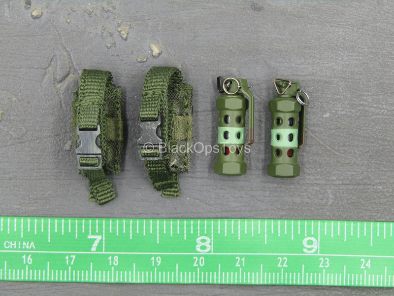 Load image into Gallery viewer, Enforcer Corps - Yuri - Tactical Grenades w/Pouches
