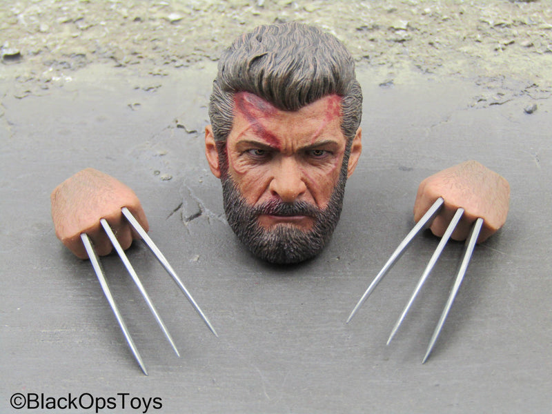 Load image into Gallery viewer, X-Men - Steel Wolf - Male Bloody Head Sculpt w/Claw Hand Set
