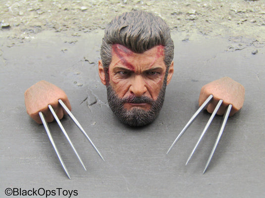 X-Men - Steel Wolf - Male Bloody Head Sculpt w/Claw Hand Set
