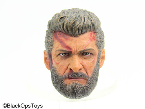 X-Men - Steel Wolf - Male Bloody Head Sculpt w/Claw Hand Set