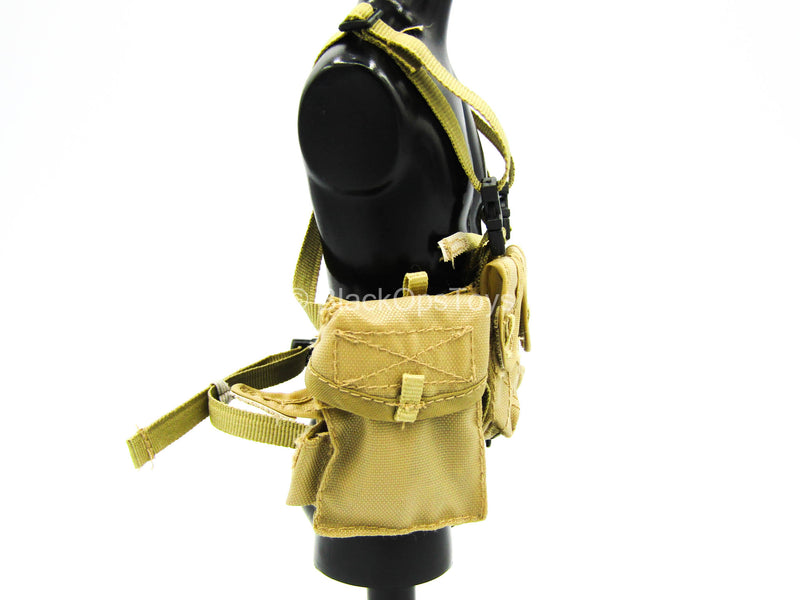Load image into Gallery viewer, US Army Ranger USAF PJ - Tan Chest Rig
