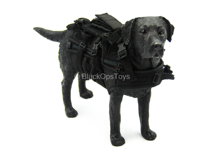 Load image into Gallery viewer, U.S Navy Seal - K9 Combat Vest w/Leash

