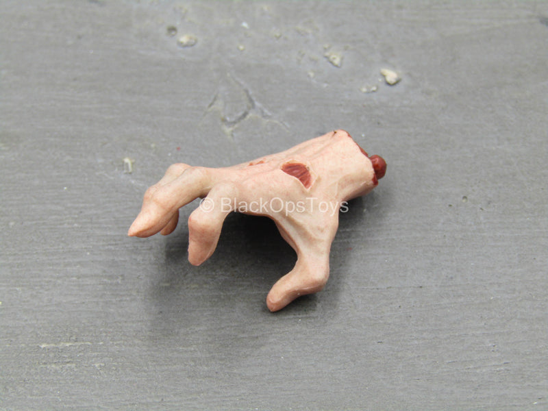 Load image into Gallery viewer, Evil Dead 2 Ashe Williams - Severed Hand
