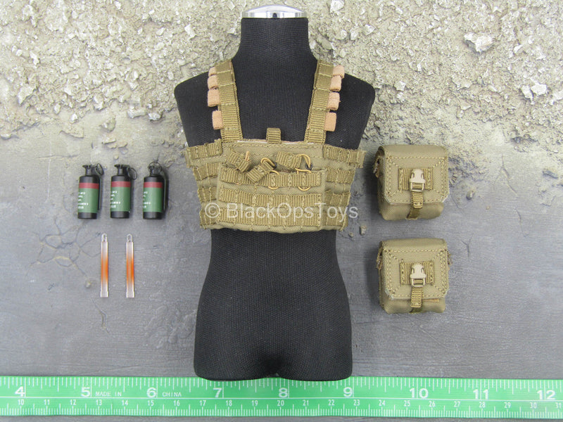 Load image into Gallery viewer, Operation Red Sea - PLA Jiaolong - MOLLE Chest Rig Set
