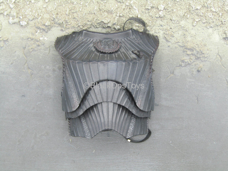Load image into Gallery viewer, WW2 - Kerberos Panzer Jäger - Black Torso Armor
