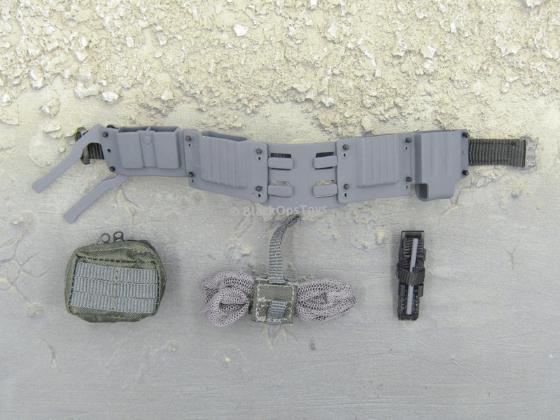 Load image into Gallery viewer, DEVTAC RONIN - Gray Duty Belt &amp; Tactical Pouch Set
