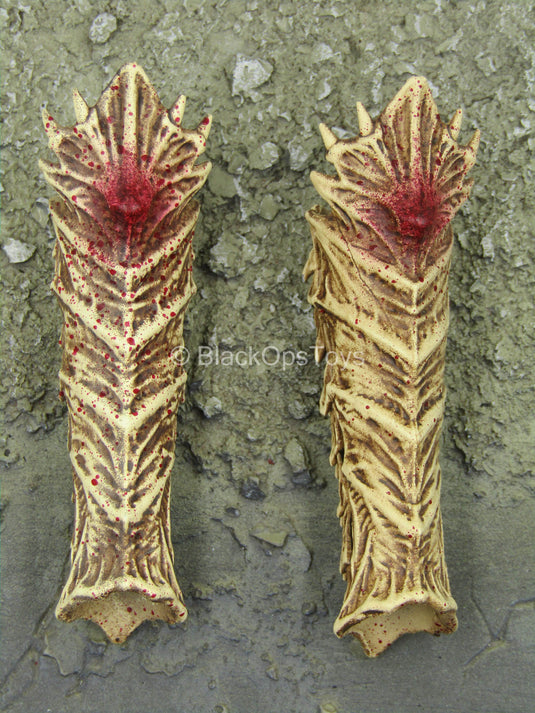 Black Shaman - Female Bloody Bone Shin Guards
