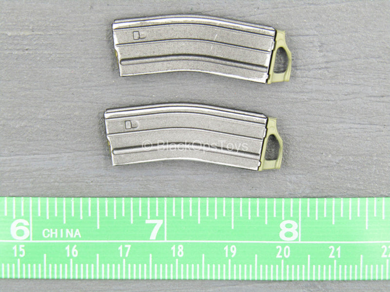 Load image into Gallery viewer, US Army FCS Testing Team - 30 Round 5.56 Magazine w/Magpul (x2)
