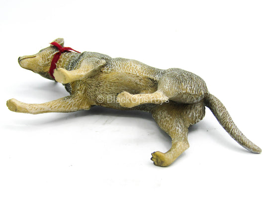 Wasteland Gladiator - Dog