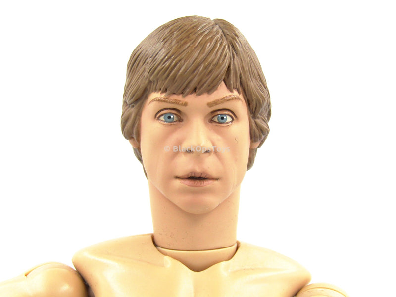 Load image into Gallery viewer, STAR WARS Luke Skywalker Male Base Body
