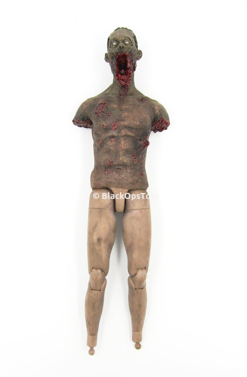 Load image into Gallery viewer, The Walking Dead Michonne&#39;s (Pet 2) Zombie Base Body
