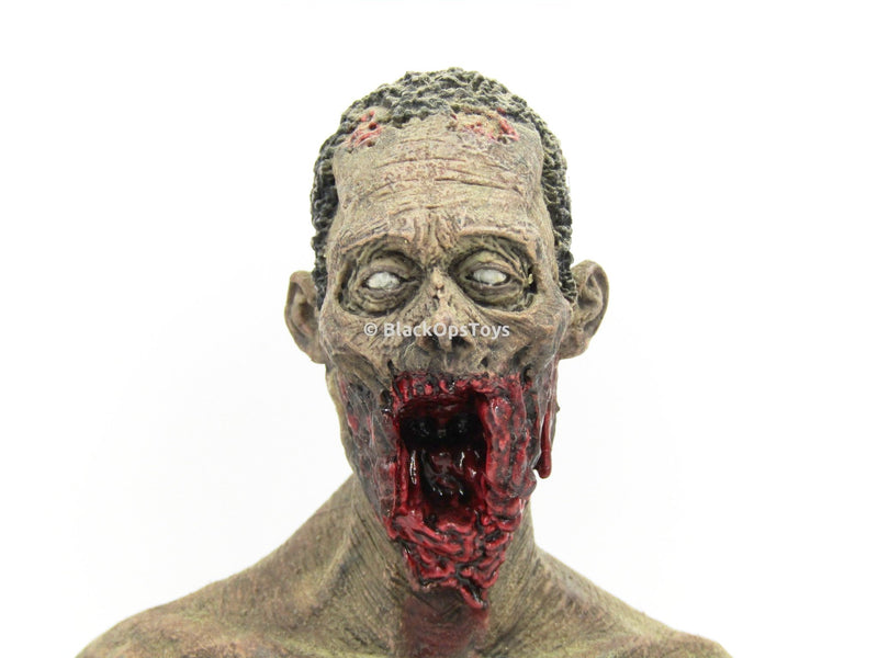 Load image into Gallery viewer, The Walking Dead Michonne&#39;s (Pet 2) Zombie Base Body
