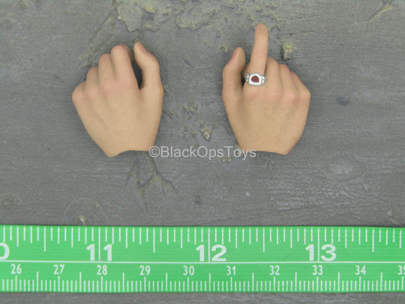 Load image into Gallery viewer, Sleepy Hollow - Ichabod Crane - Male Hand Set Type 2
