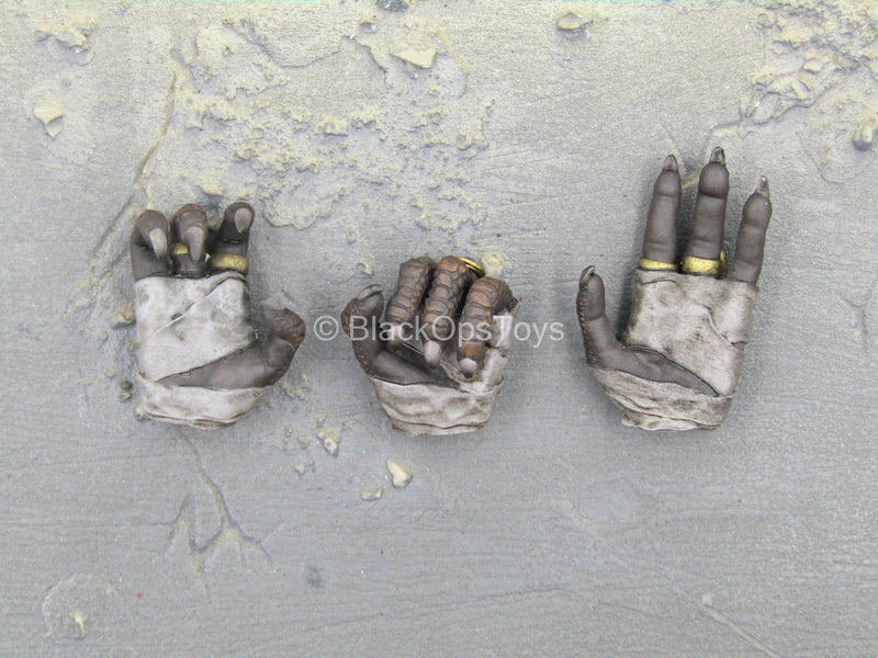 Load image into Gallery viewer, Month Deity of War - Silver - Female Hand Set Type 2

