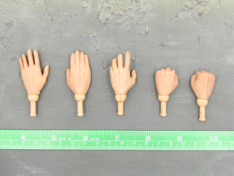 Load image into Gallery viewer, GI JOE - Storm Shadow - Hand Set (x5)
