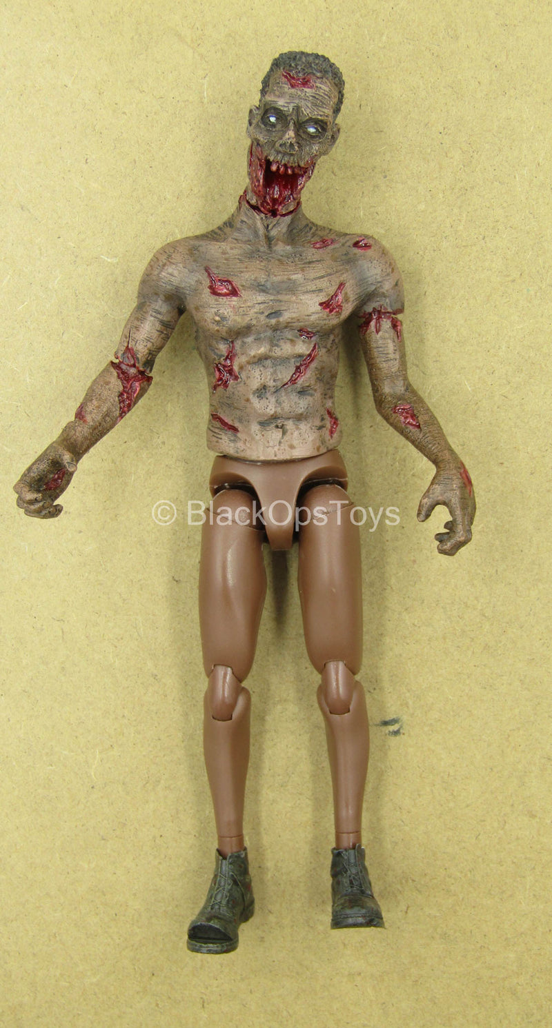 Load image into Gallery viewer, 1/12 - Zombie - AA Male Zombie Body w/Head Sculpt Type 1

