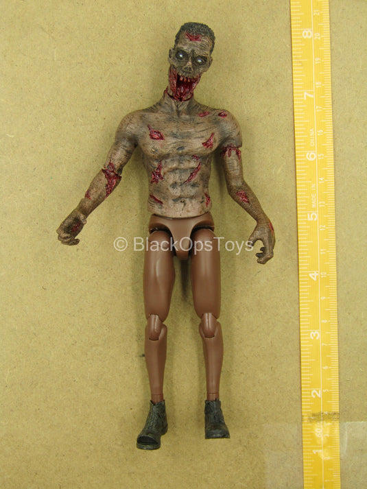 1/12 - Zombie - AA Male Zombie Body w/Head Sculpt Type 1