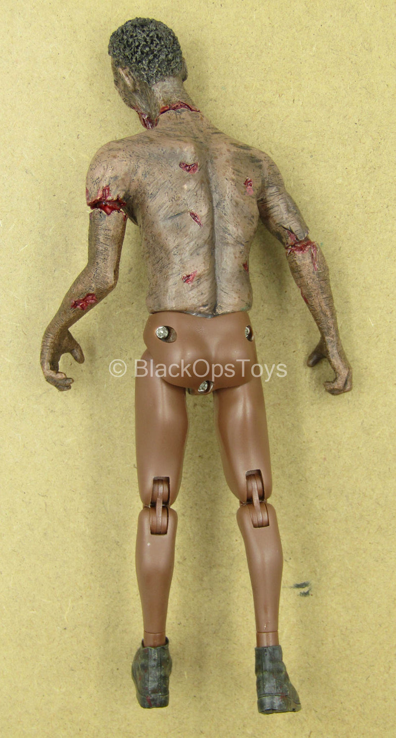 Load image into Gallery viewer, 1/12 - Zombie - AA Male Zombie Body w/Head Sculpt Type 1
