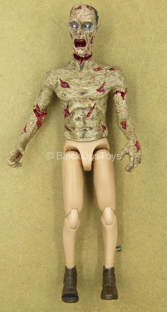 1/12 - Zombie - Male Zombie Body w/Head Sculpt Type 1 – BlackOpsToys