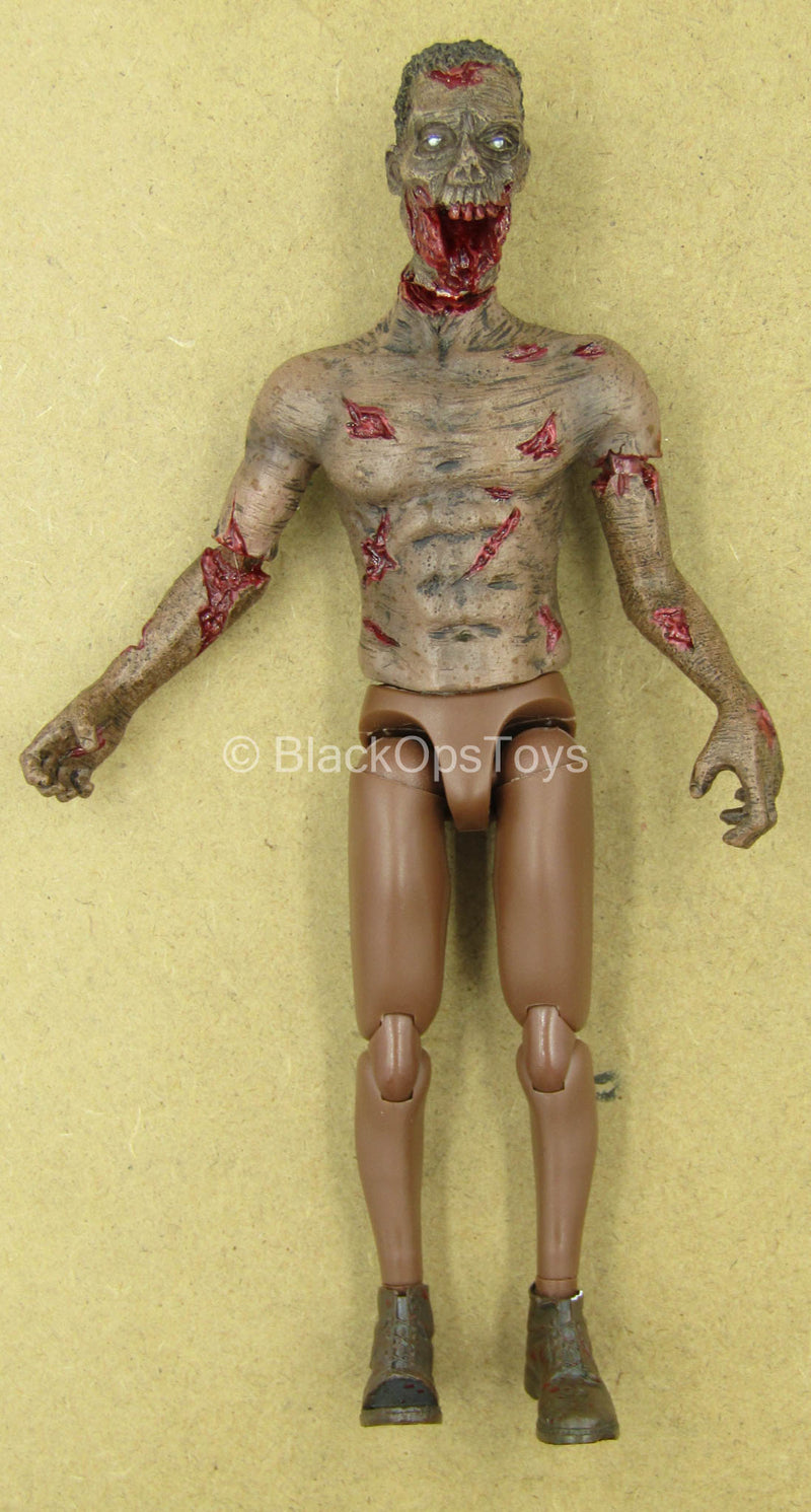 Load image into Gallery viewer, 1/12 - Zombie - AA Male Zombie Body w/Head Sculpt Type 2
