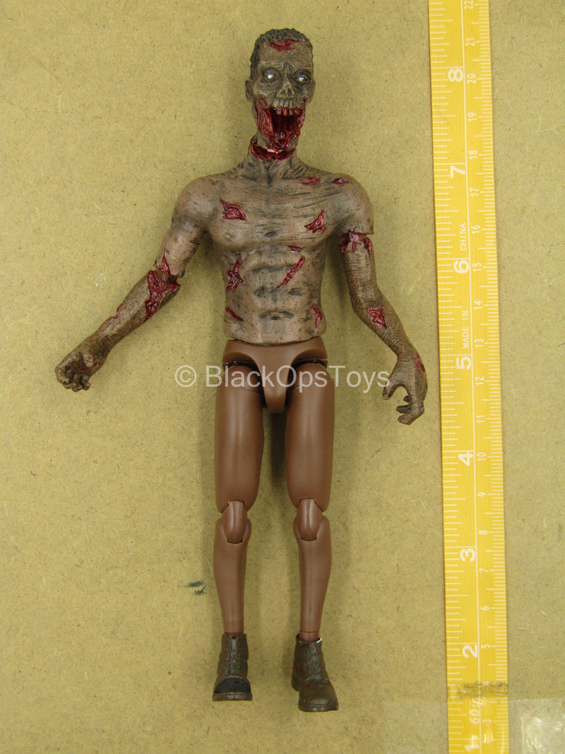 Load image into Gallery viewer, 1/12 - Zombie - AA Male Zombie Body w/Head Sculpt Type 2
