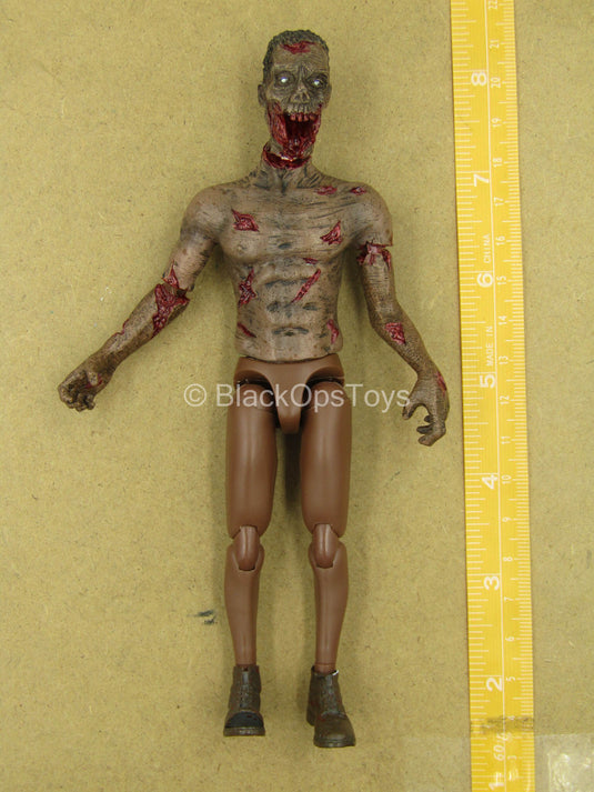 1/12 - Zombie - AA Male Zombie Body w/Head Sculpt Type 2